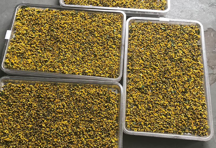 朵菊花烘干機